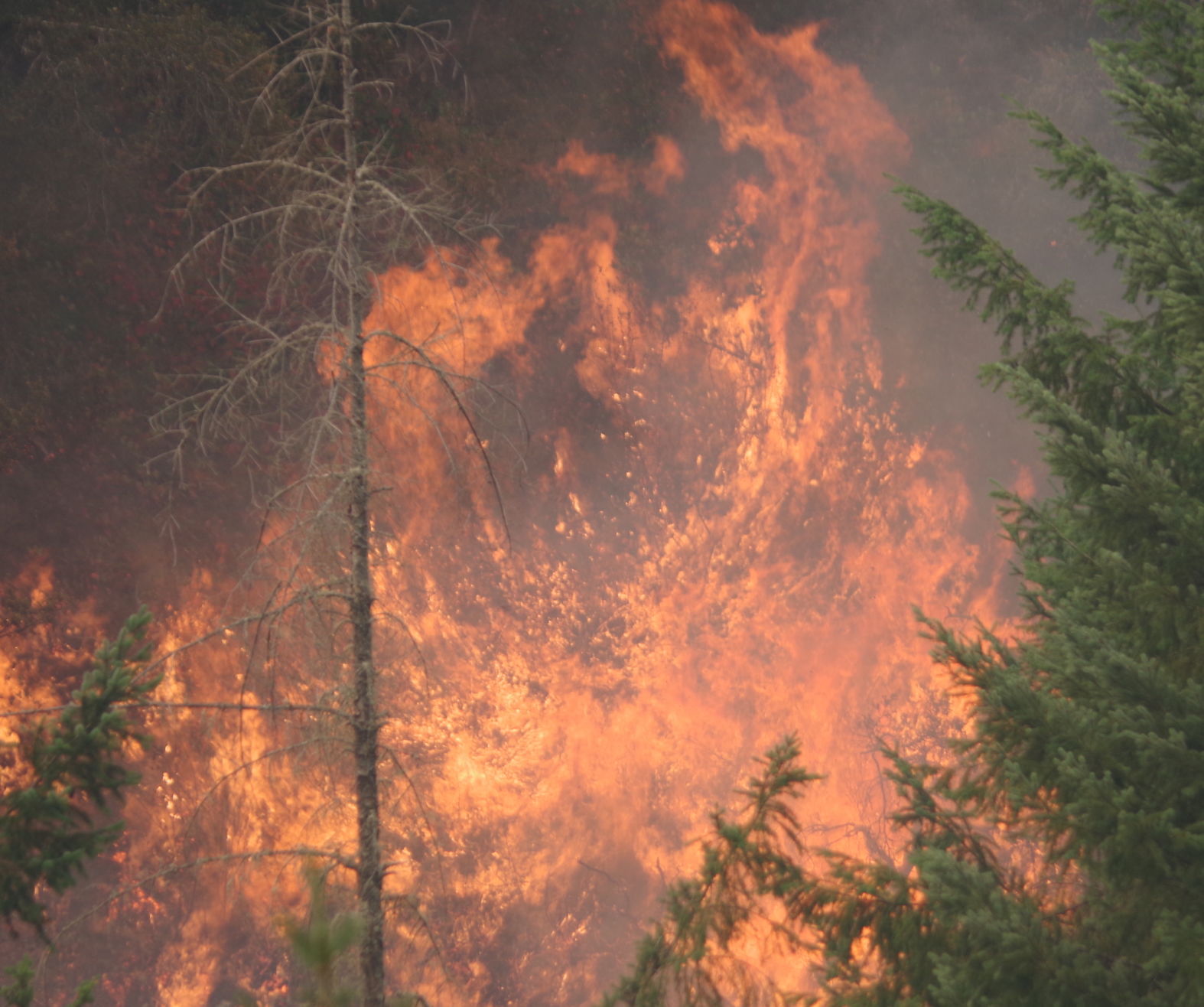 Mile Post 97 Wildfire
